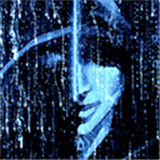 2024最新火爆手游单机排行榜-2024好用的软件排行榜九游娱乐官网-游戏鸟手游网(图46)